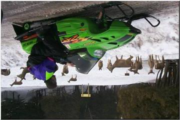 Deer admire a snowmobiler