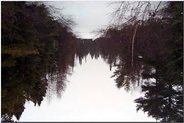 In the woods, near Traverse River