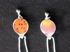 Items 