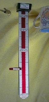 Snow Thermometer